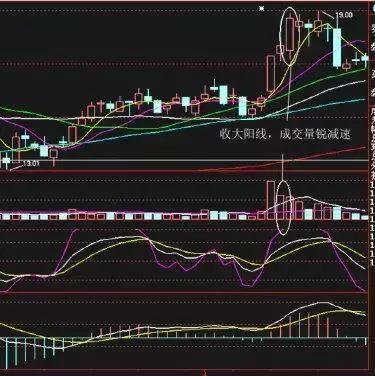 最新牛散持股一覽表，揭示市場(chǎng)主力動(dòng)向