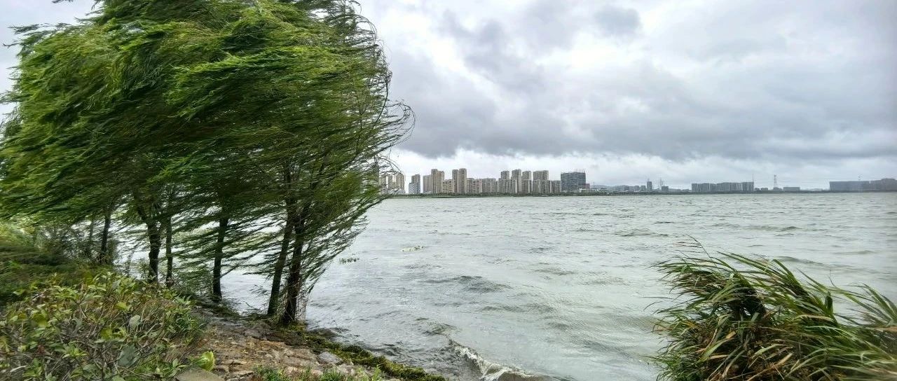 蘇州今天臺(tái)風(fēng)最新消息，風(fēng)雨中的城市動(dòng)態(tài)與應(yīng)對(duì)措施