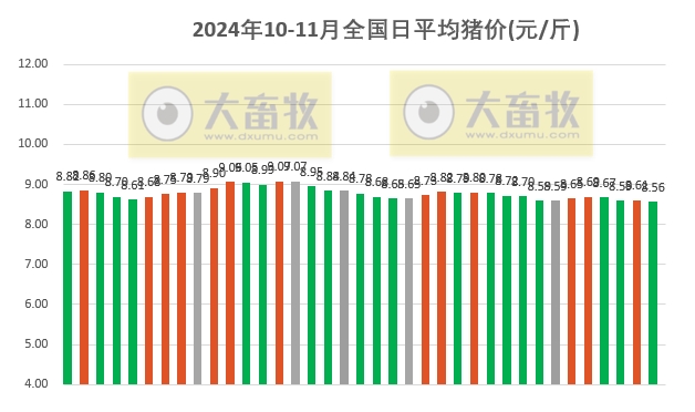 今天豬最新價(jià)格——市場走勢(shì)分析